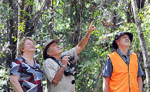 Councillor Linda Harris, birdwatcher John Knight and Tony van Kampen, the council’s natural resources management officer, at Woodland Park yesterday. Councillor Linda Harris, birdwatcher John Knight and Tony van Kampen, the council’s natural resources management officer, at Woodland Park yesterday.